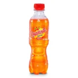 Gaseosa GUARANITA 300mL